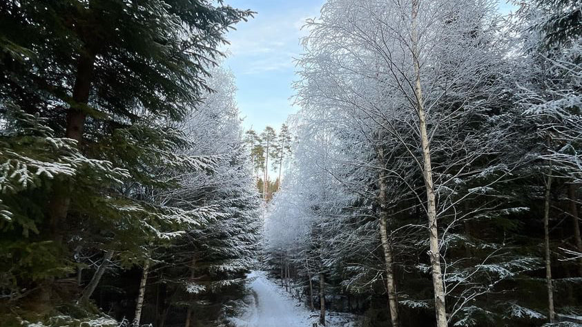 Top reasons why you should start winter running