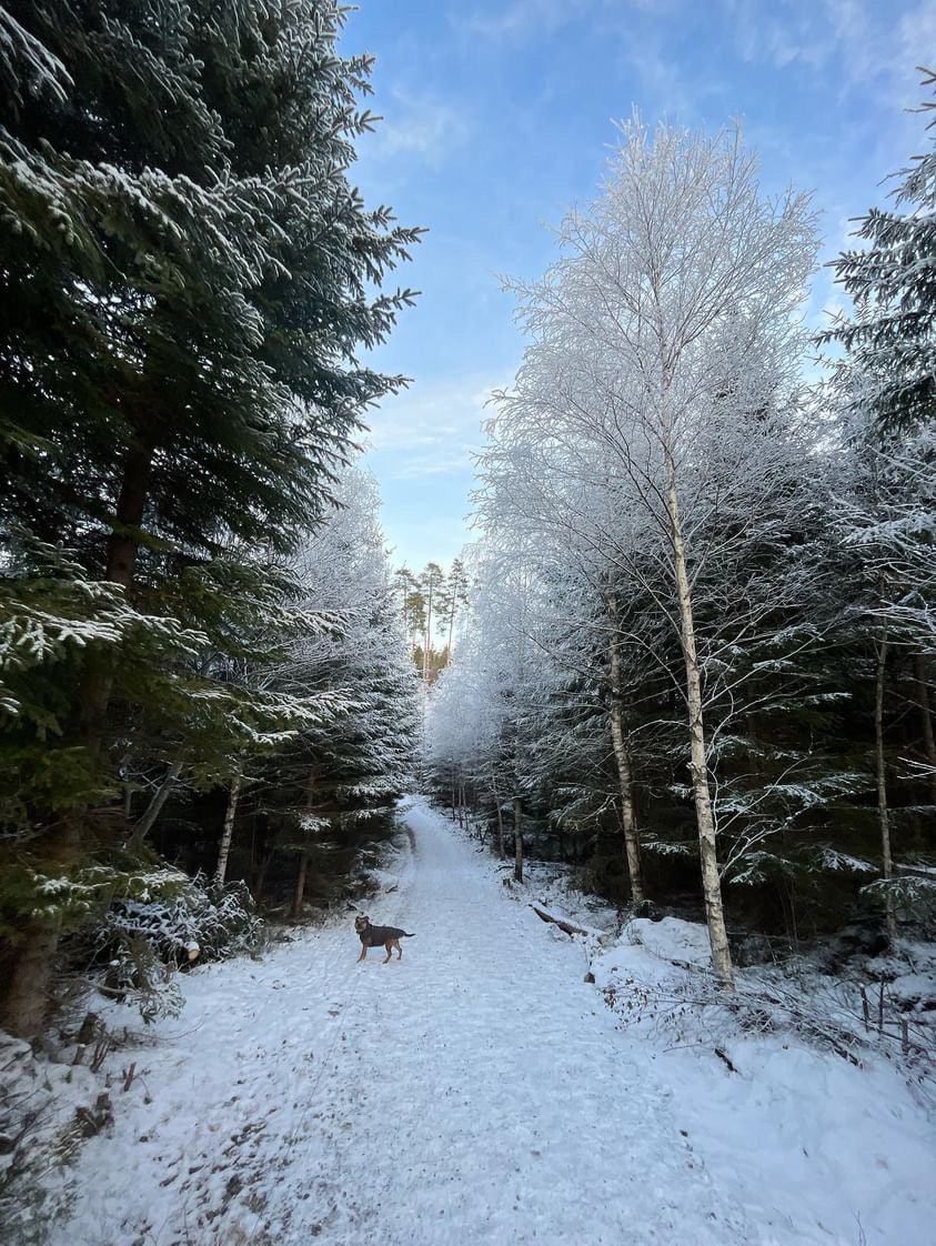 Top reasons why you should start winter running