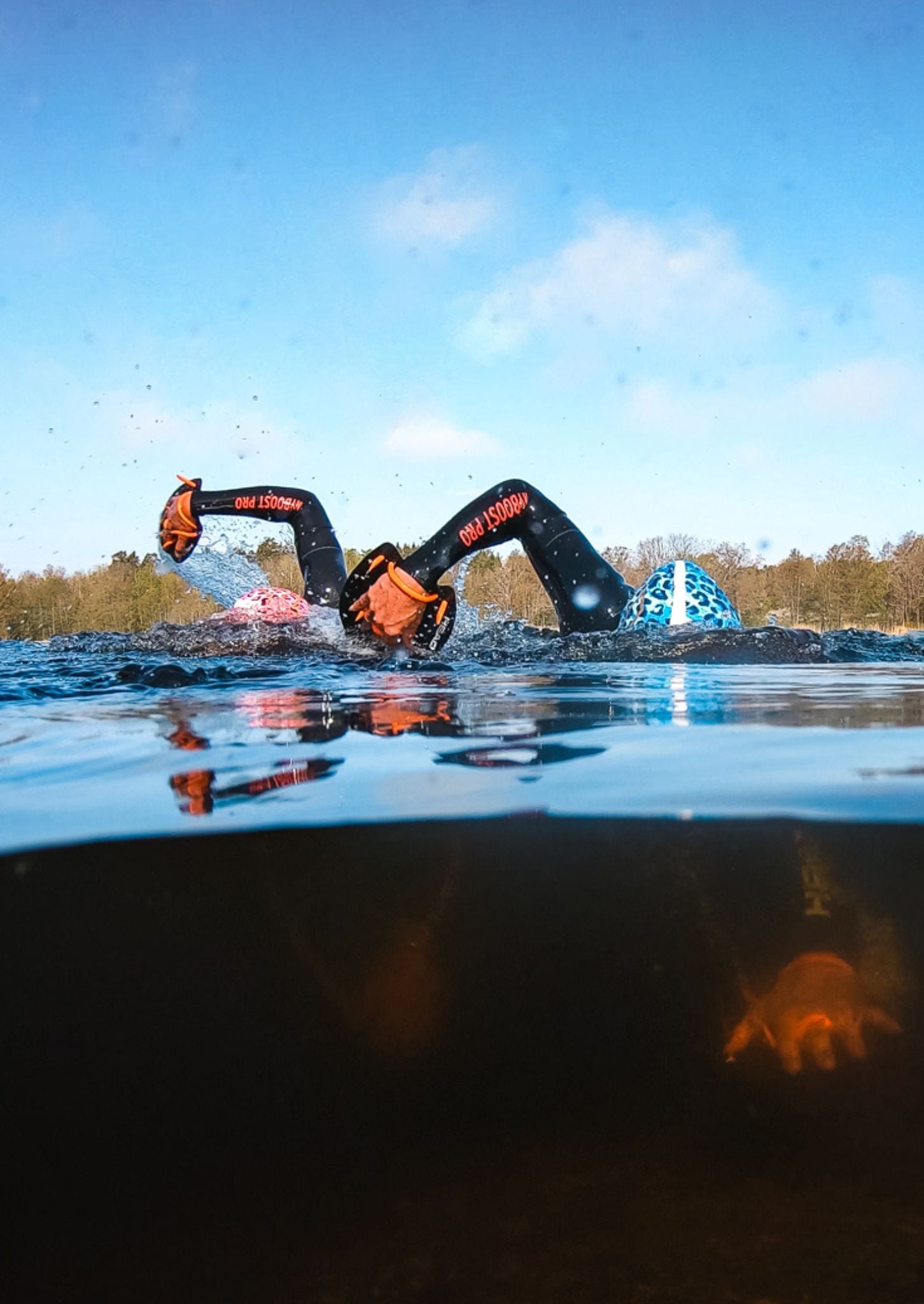 Stockholm Swim Festival